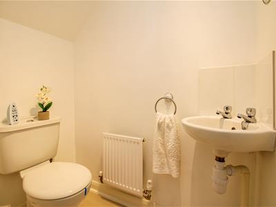 Picture 11